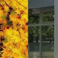 紅葉宿泊プラン登場