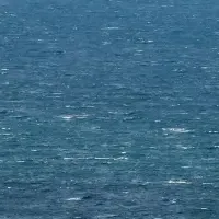 スコットランドが来日