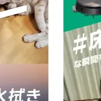 床がサイコー！