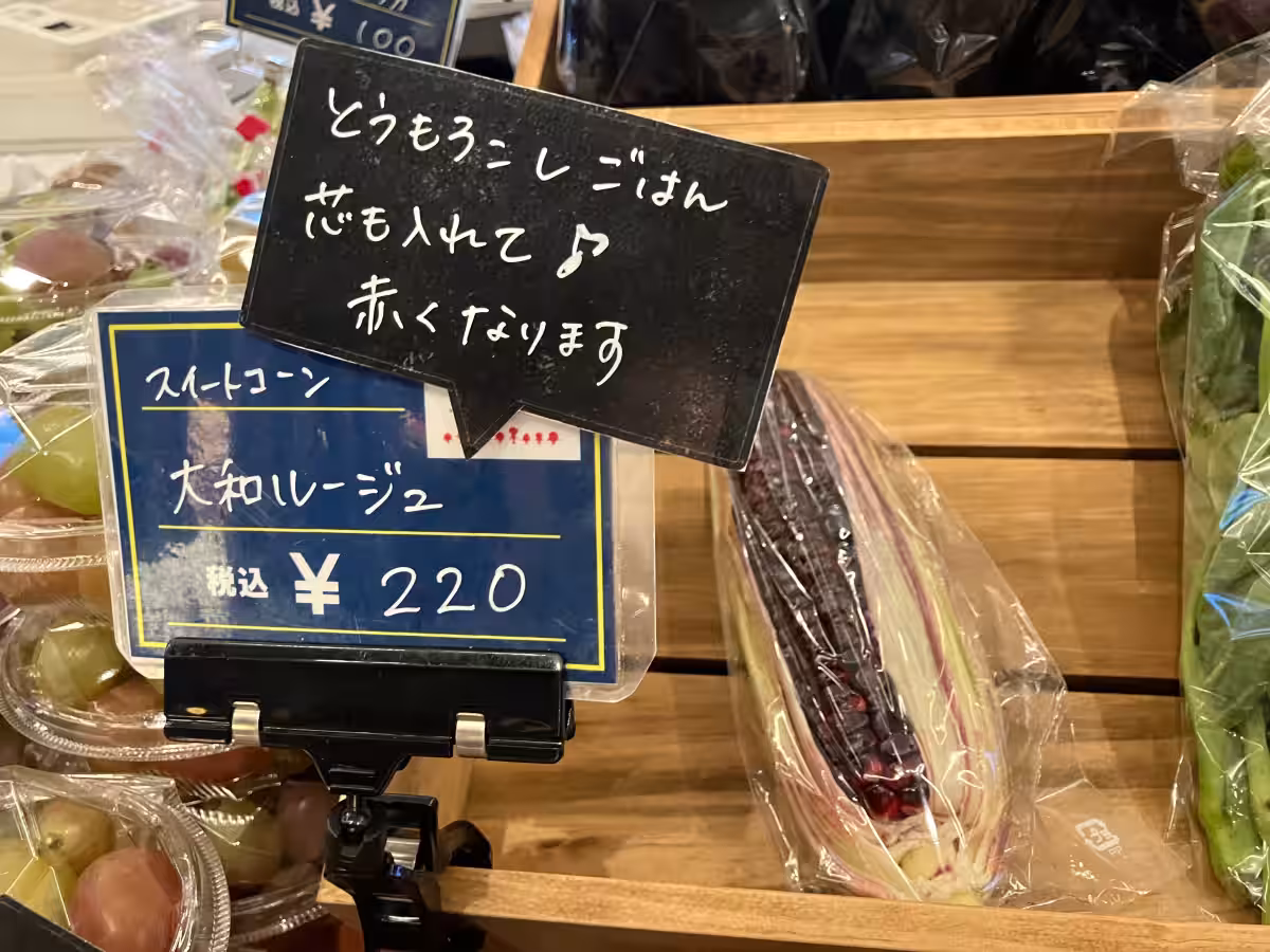 画像17
