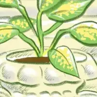三島由紀夫レター教室