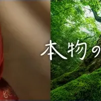 名作継承プロジェクト