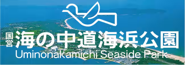 画像26
