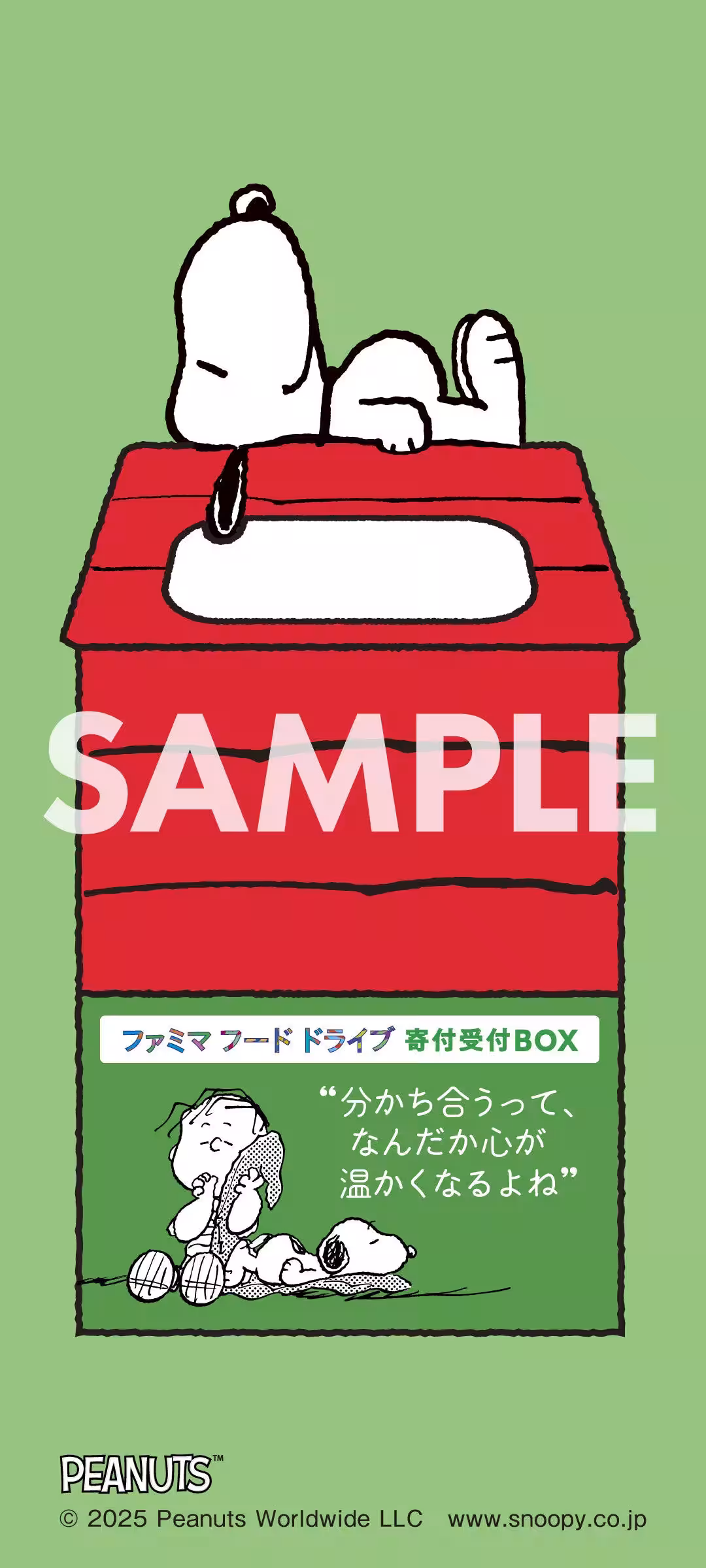 画像24