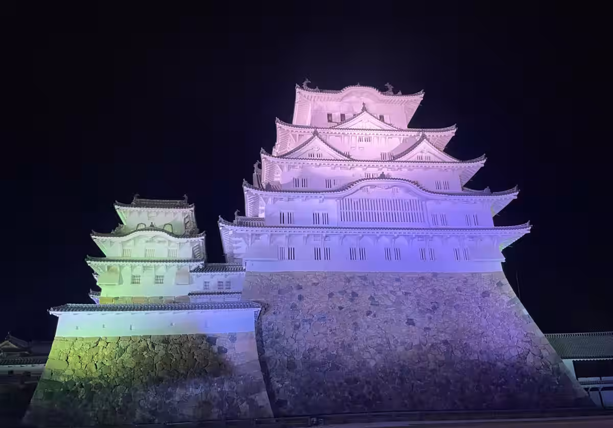 画像7