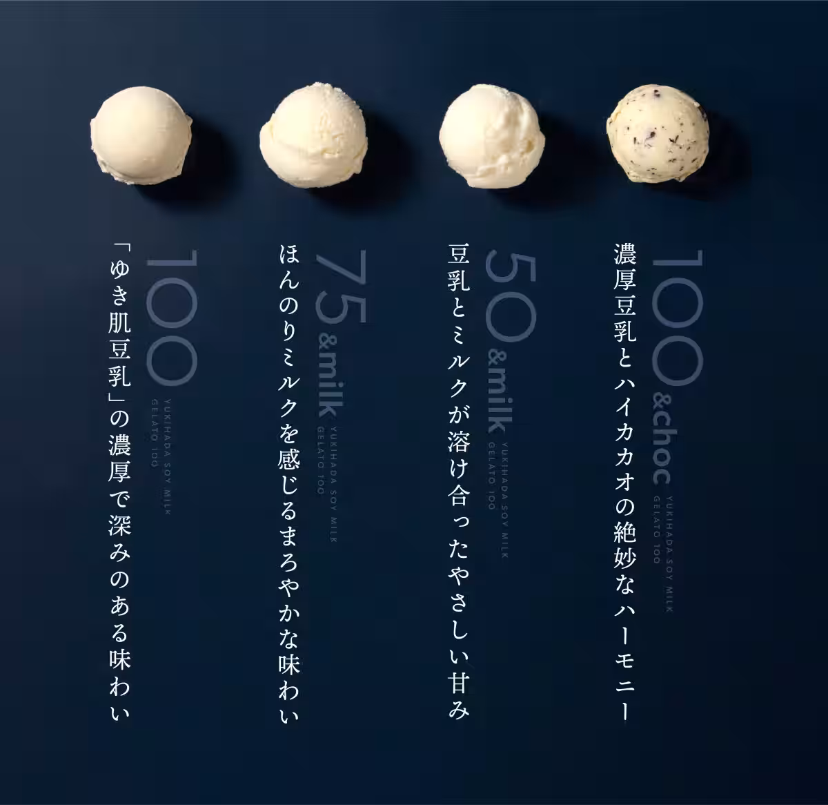 画像14