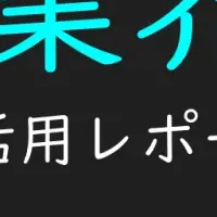 建設業向けTikTokレポート