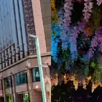 銀座の金魚とお茶