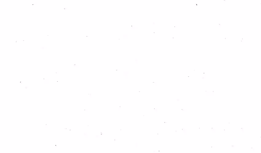 画像12