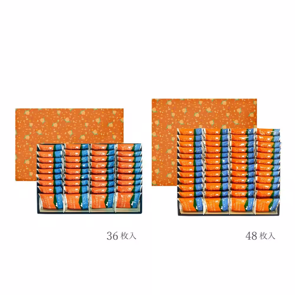 画像12