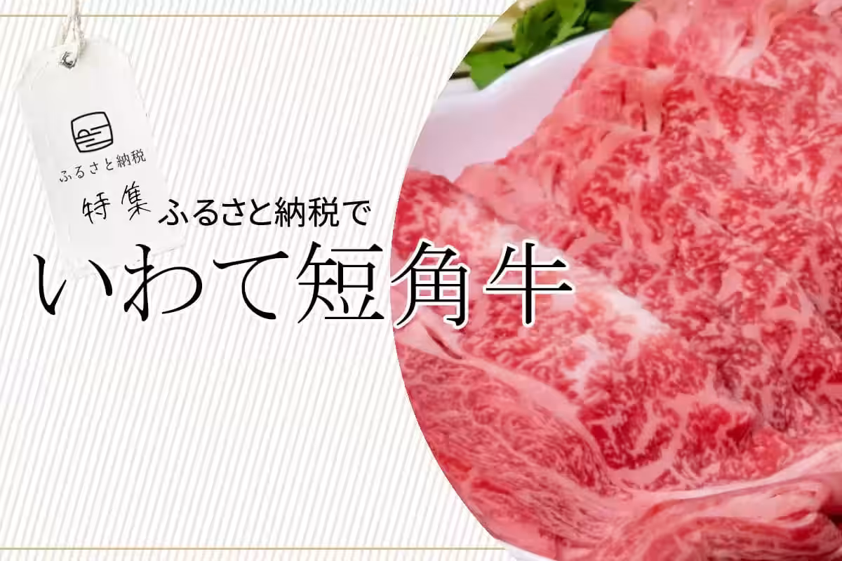 画像14