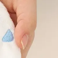 ふくふくぽち袋登場
