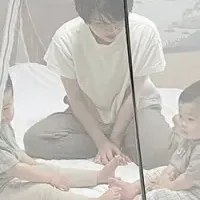 蚊帳シリーズの魅力