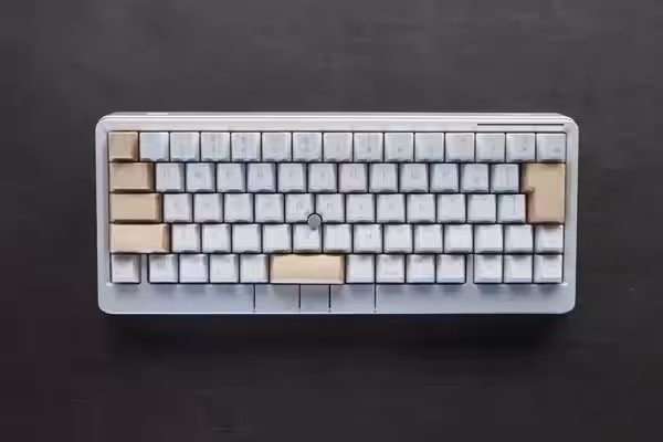 画像14