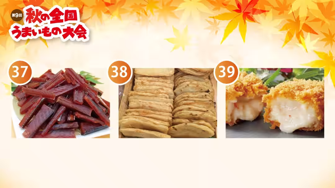 画像13