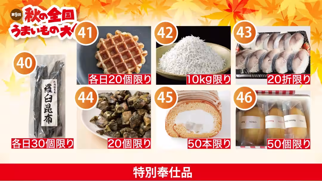 画像14