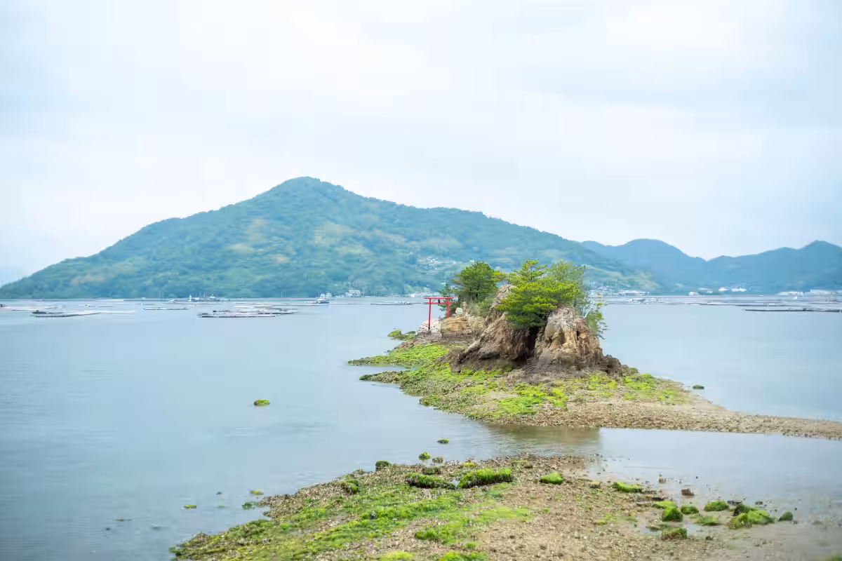 画像14