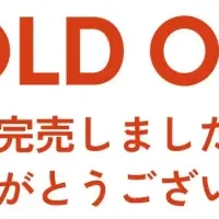 コアラマットレス人気