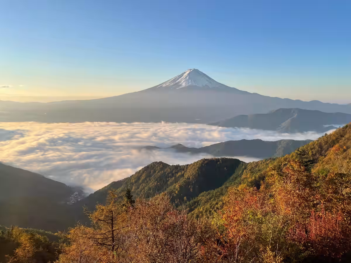 画像8