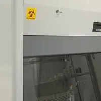 再生医療に新展開