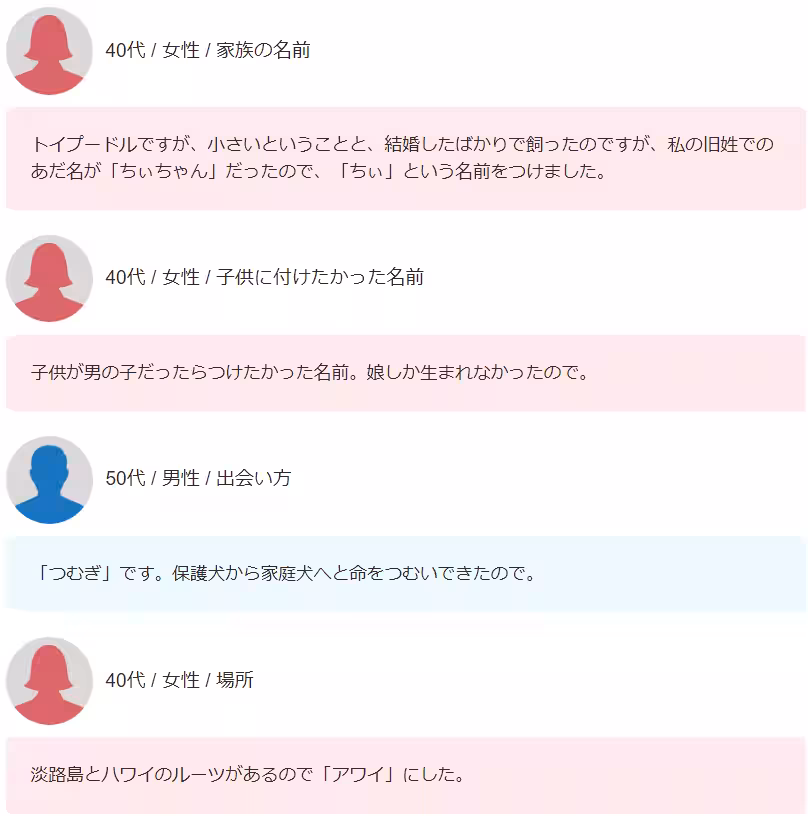 画像11
