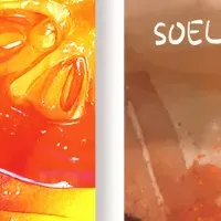 SOELU新プロテイン