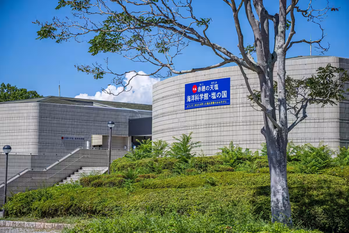 画像8