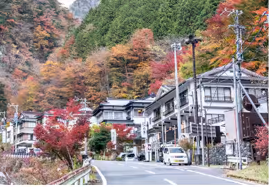 画像24