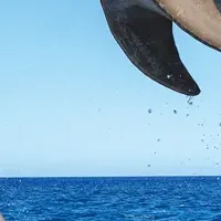 エリック・ミヤシロ新作