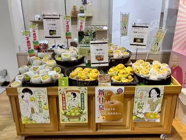 画像9