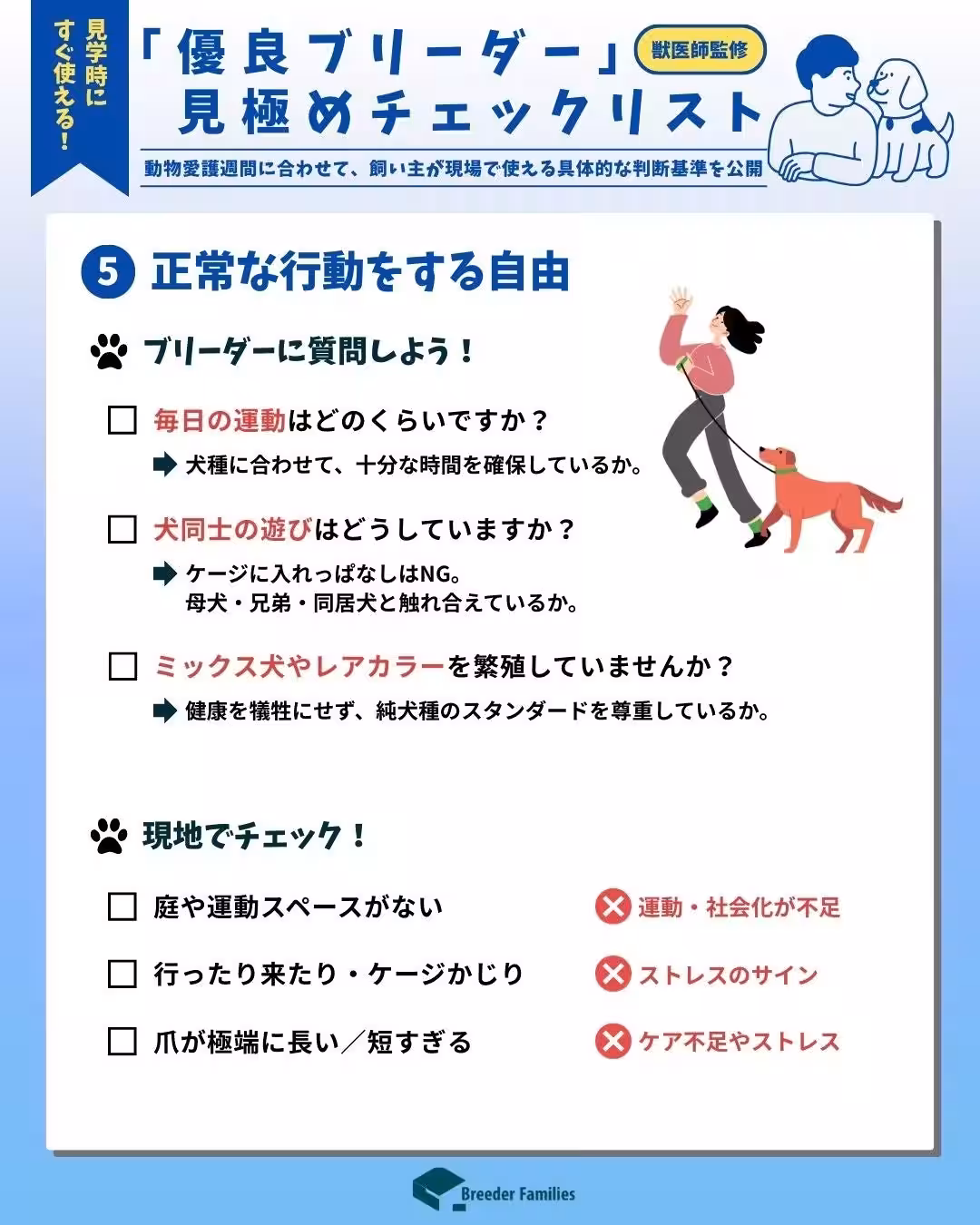 画像13