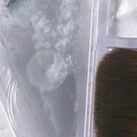 幻想的な初雪ハイライト