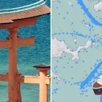 旅行者の船利用動向