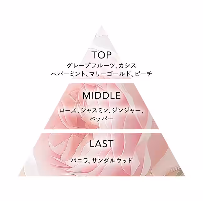 画像11