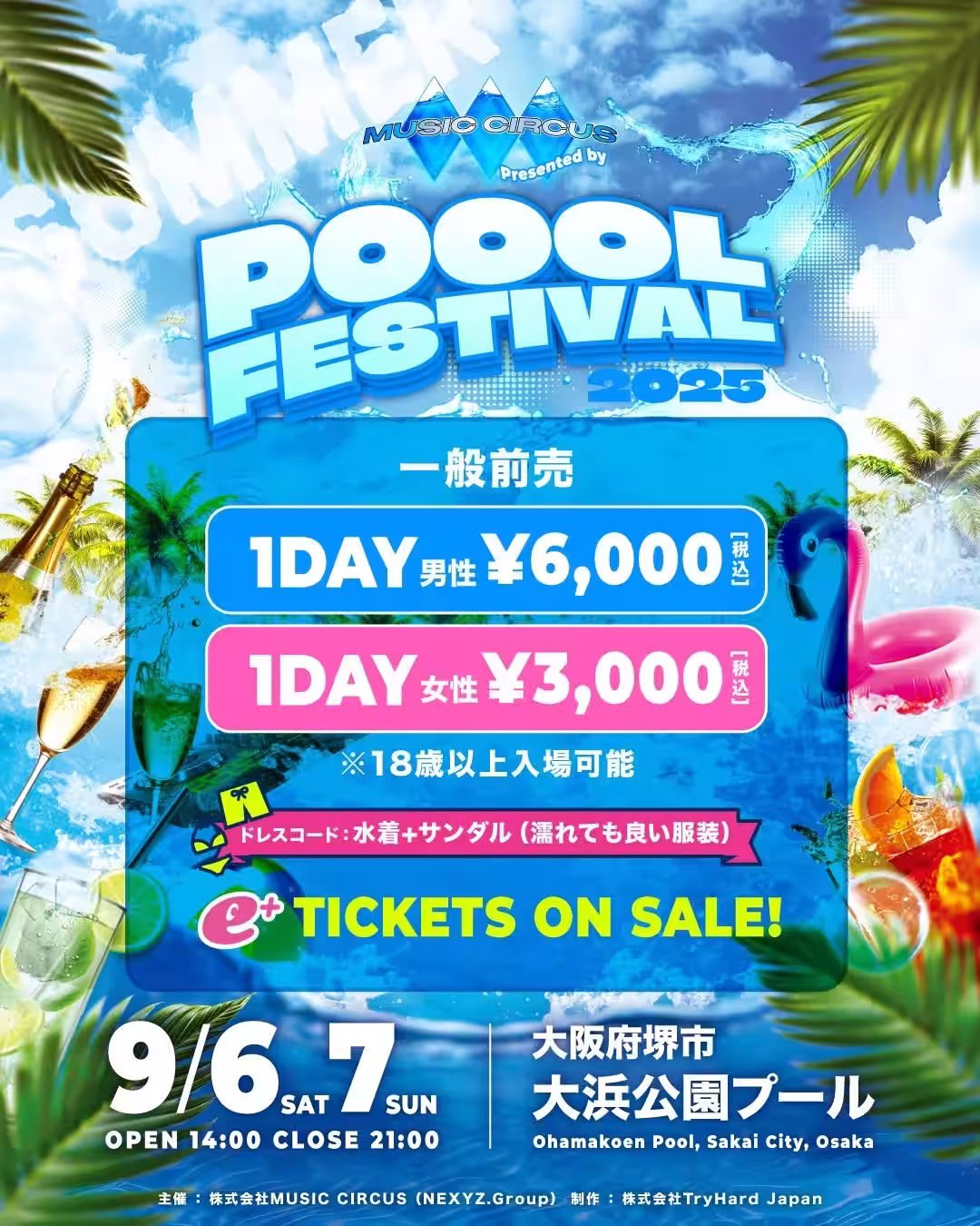 画像15