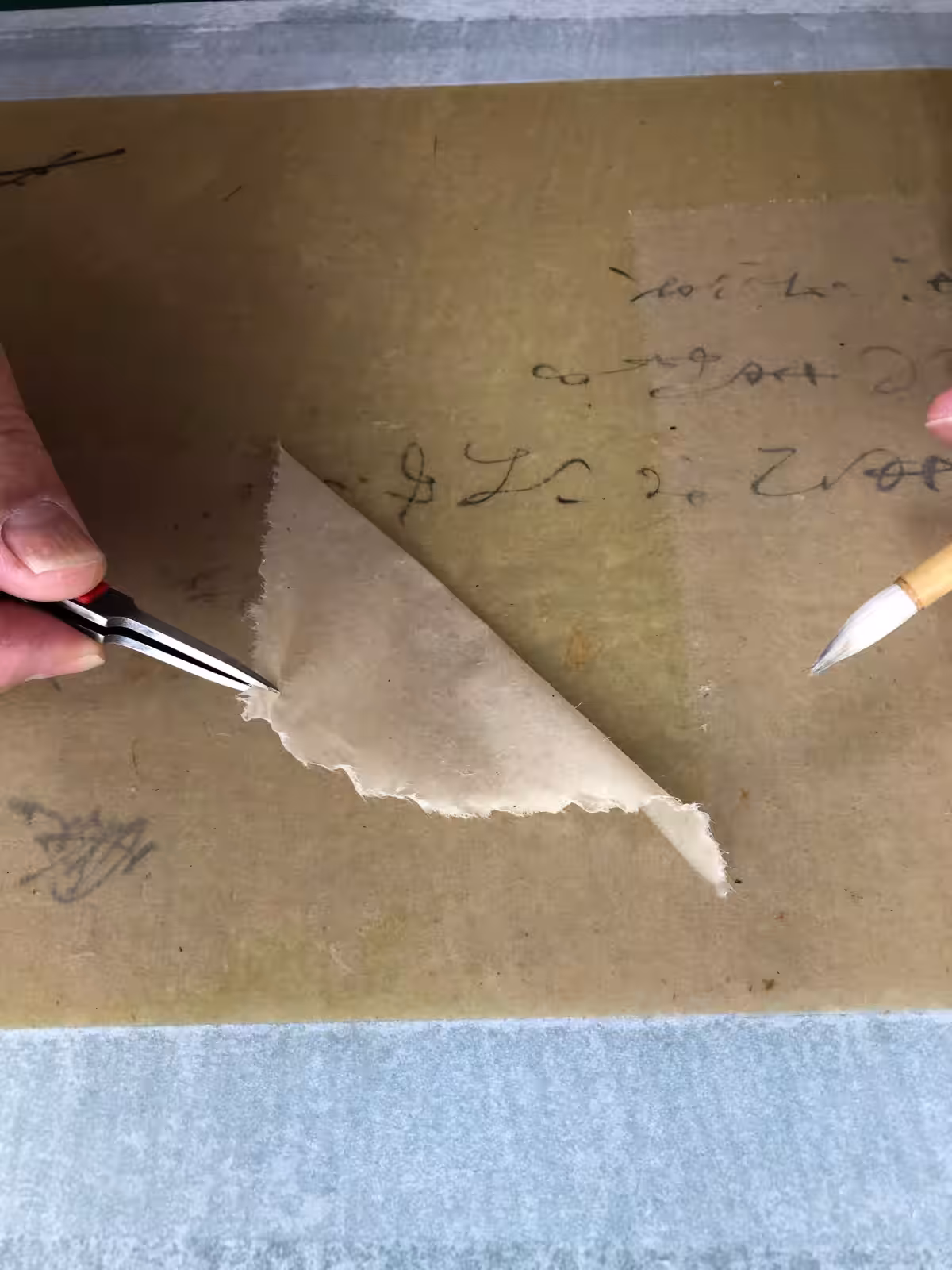 画像5