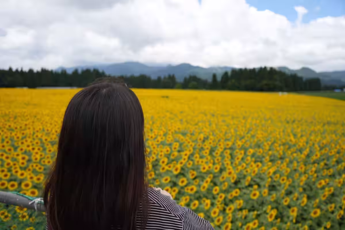 画像8