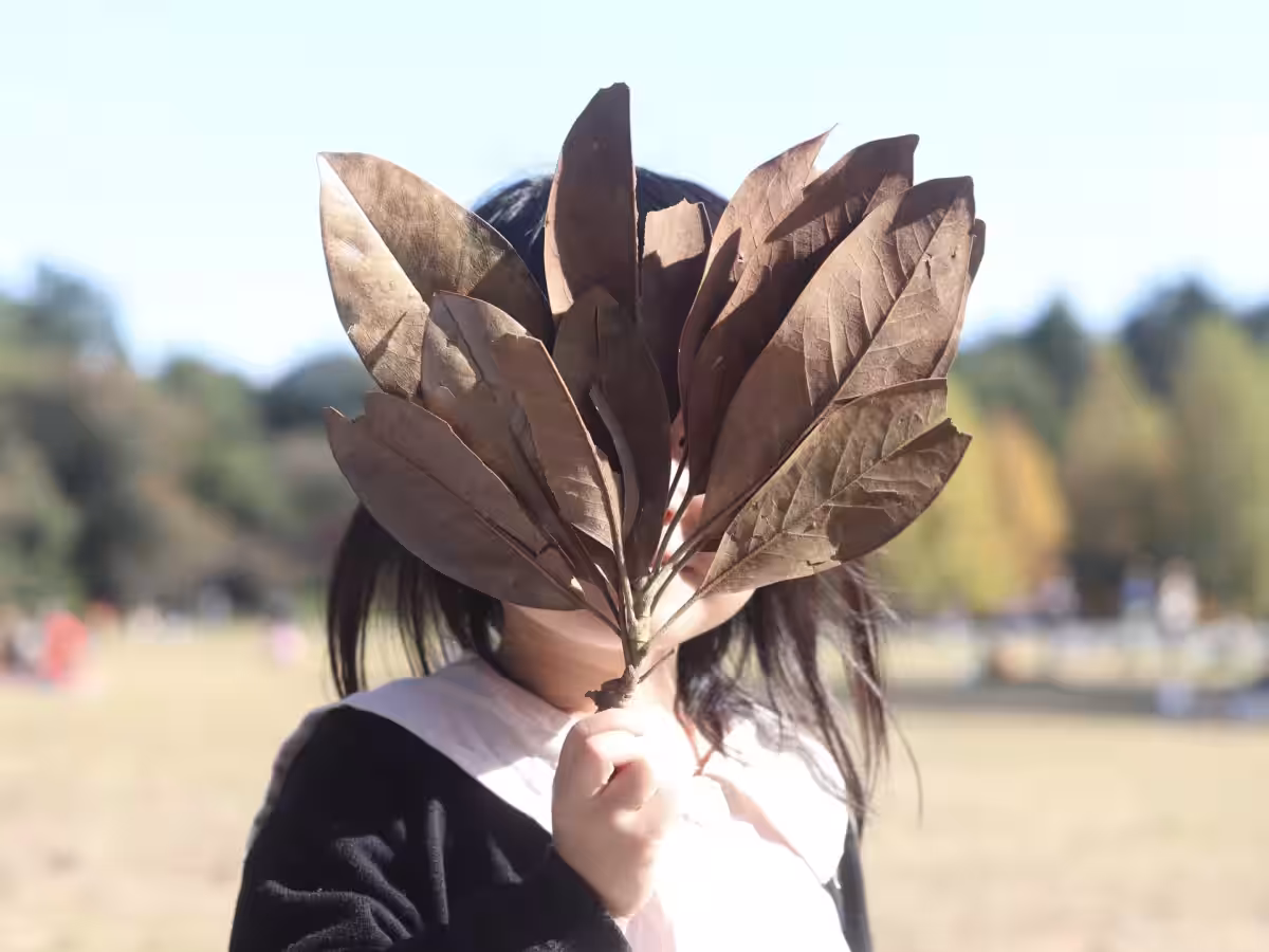画像6
