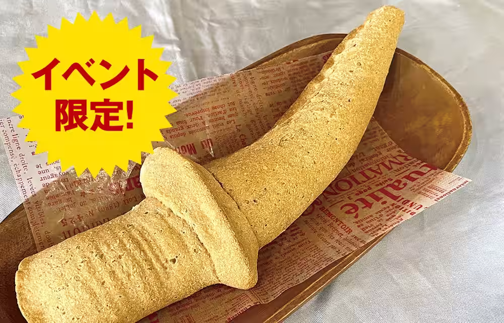 画像8