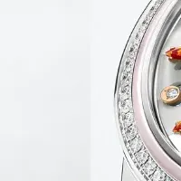 新作ディオール登場