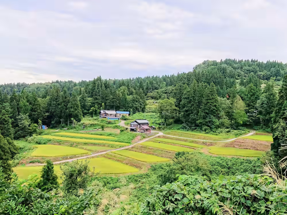画像6