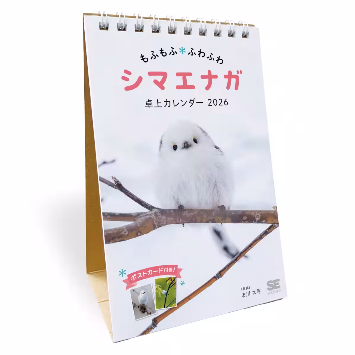 画像7