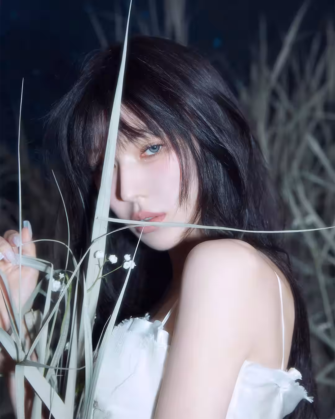 画像2