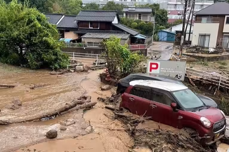 画像14