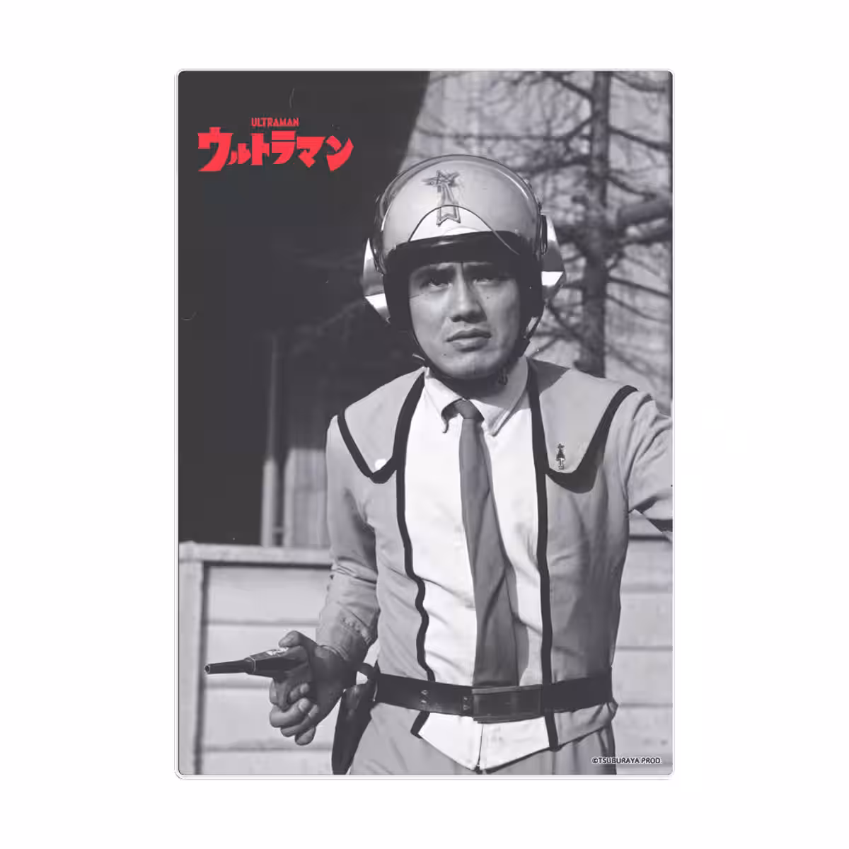 画像17