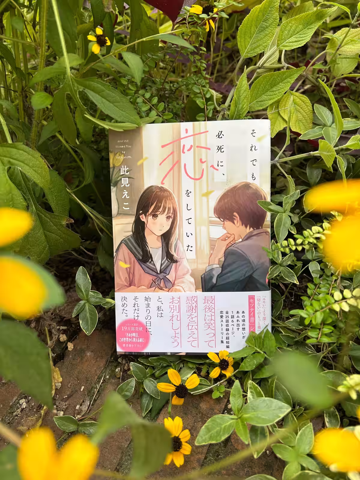 画像5