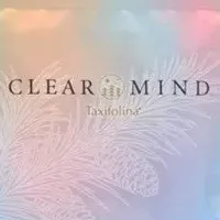 『CLEAR MIND』登場