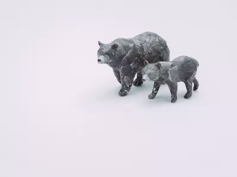 画像11