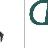 dataisとホークス提携