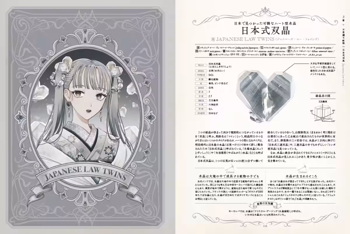 画像9